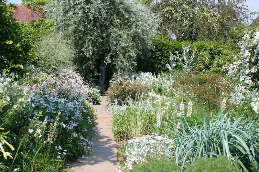White garden Sissinghurst